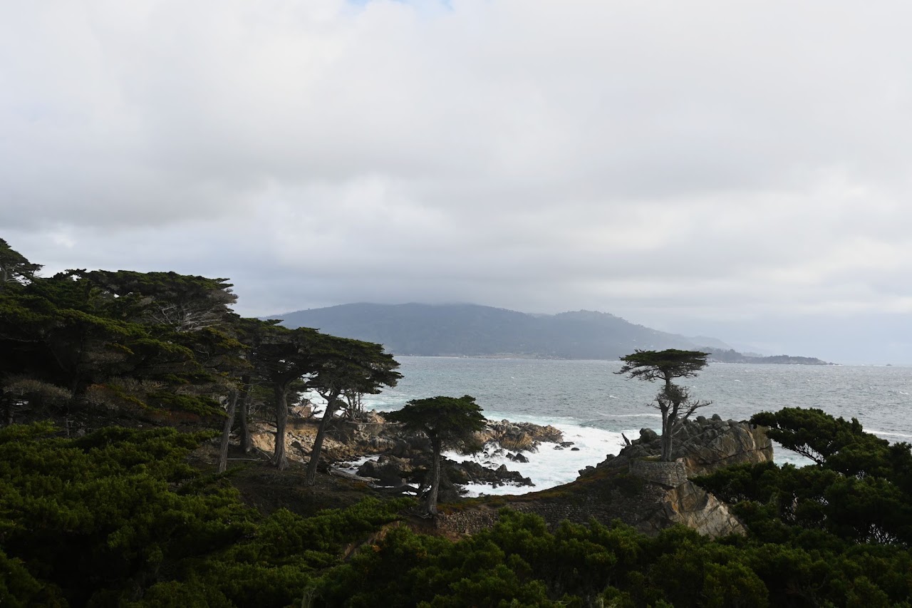 Pacific coastline along the 17 Mile Drive