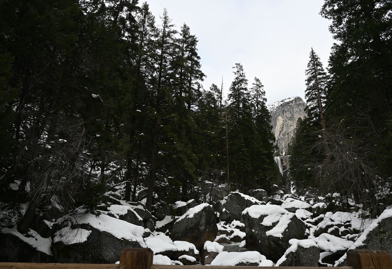 Snow-covered forest in Yosemite National Park