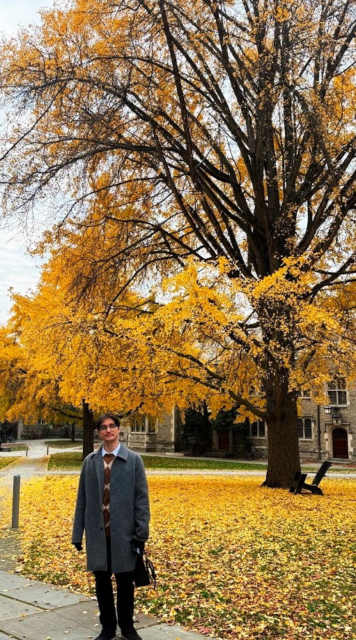 Autumn tree on a campus lawn