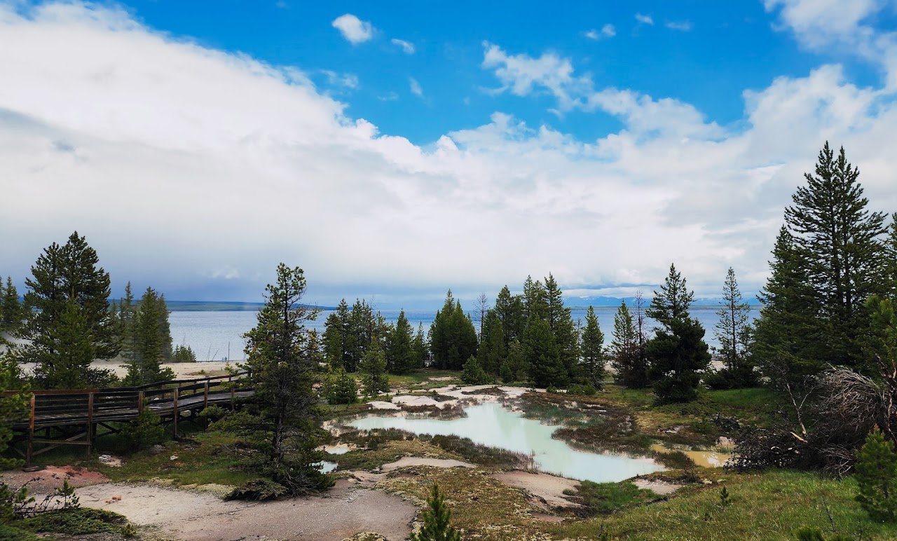 Mountain lake and pine forest