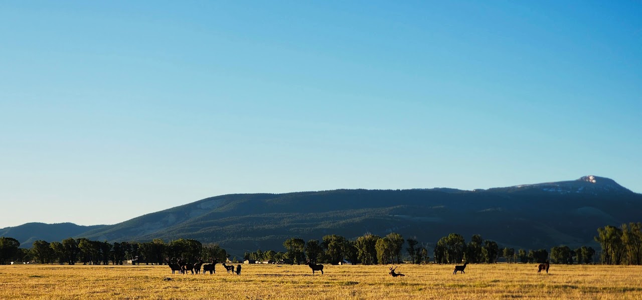 Open meadow beneath distant mountains