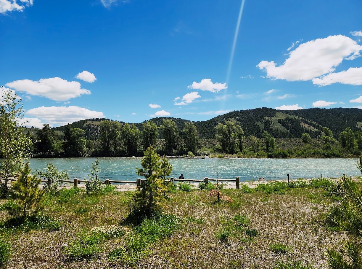 Lake and meadow beneath a blue sky